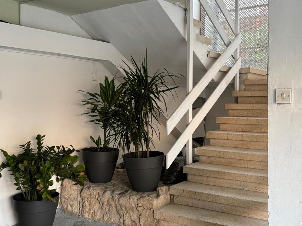 Apartament Venus Seaview 2b, Rooftop, Prime Location,